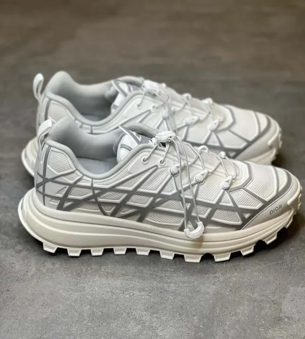 Dior B31 Runner Sneakers 700-2