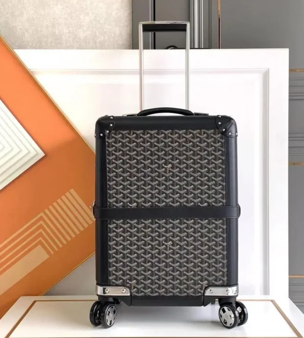 Goyard Trolly Bag-5000-3