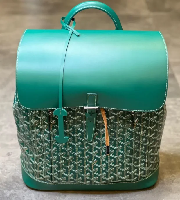 Goyard Back Pack 2000-6
