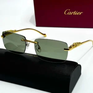 Cartier Glasses 320-6