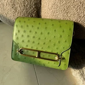 Hermes Osrtich Bag 3500-16