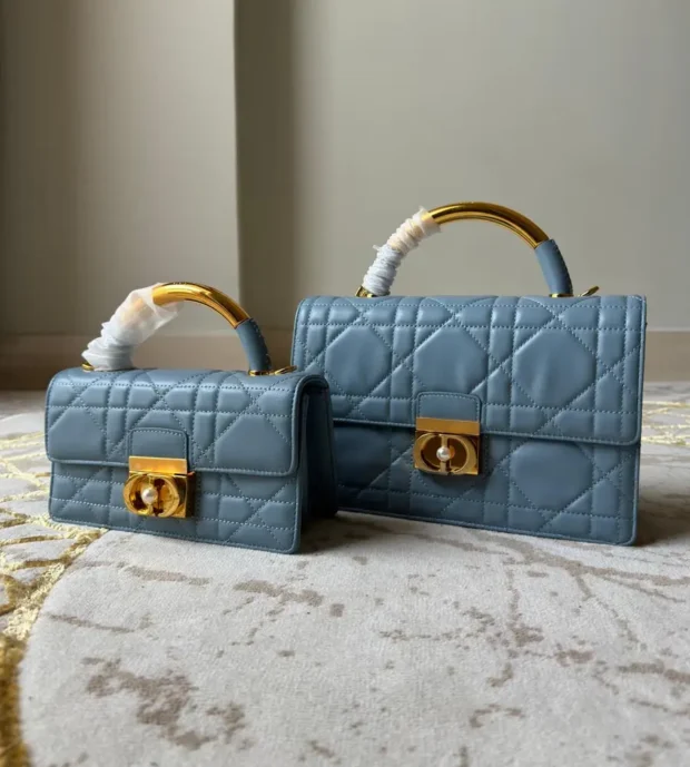 Ladies Dior Bag 1200-3
