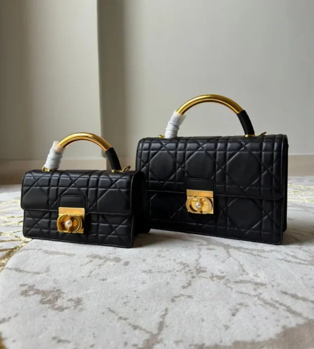 Ladies Dior Bag 1200-4
