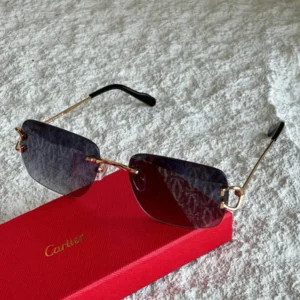 Cartier Glasses 370-7